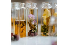 Image DSM-Firmenich merger